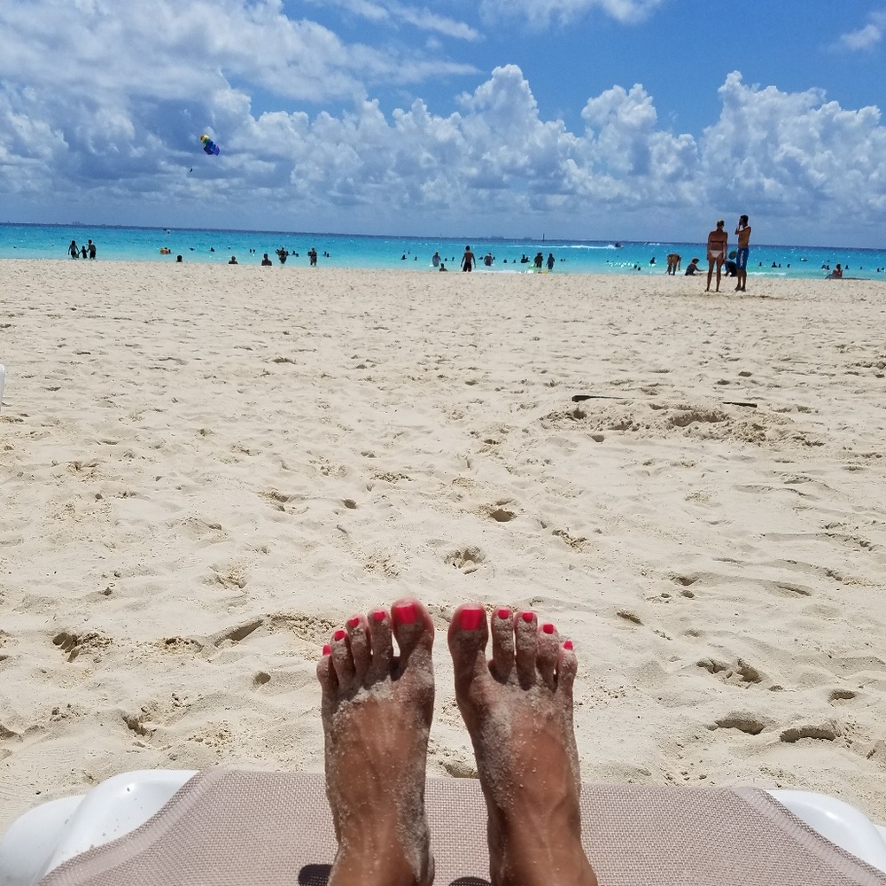 Meet your Posher, Shelley